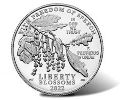 2022-W-Proof-American-Platinum-Eagle-–-Obverse.jpg