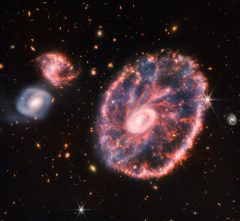 Cartwheel Galaxy.jpg