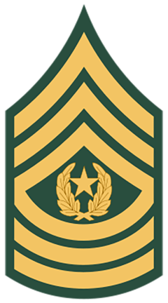 E9b-command-sergeant-major.png